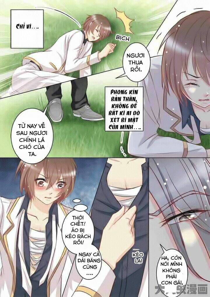 the stars are not luminous body chapter 28 4