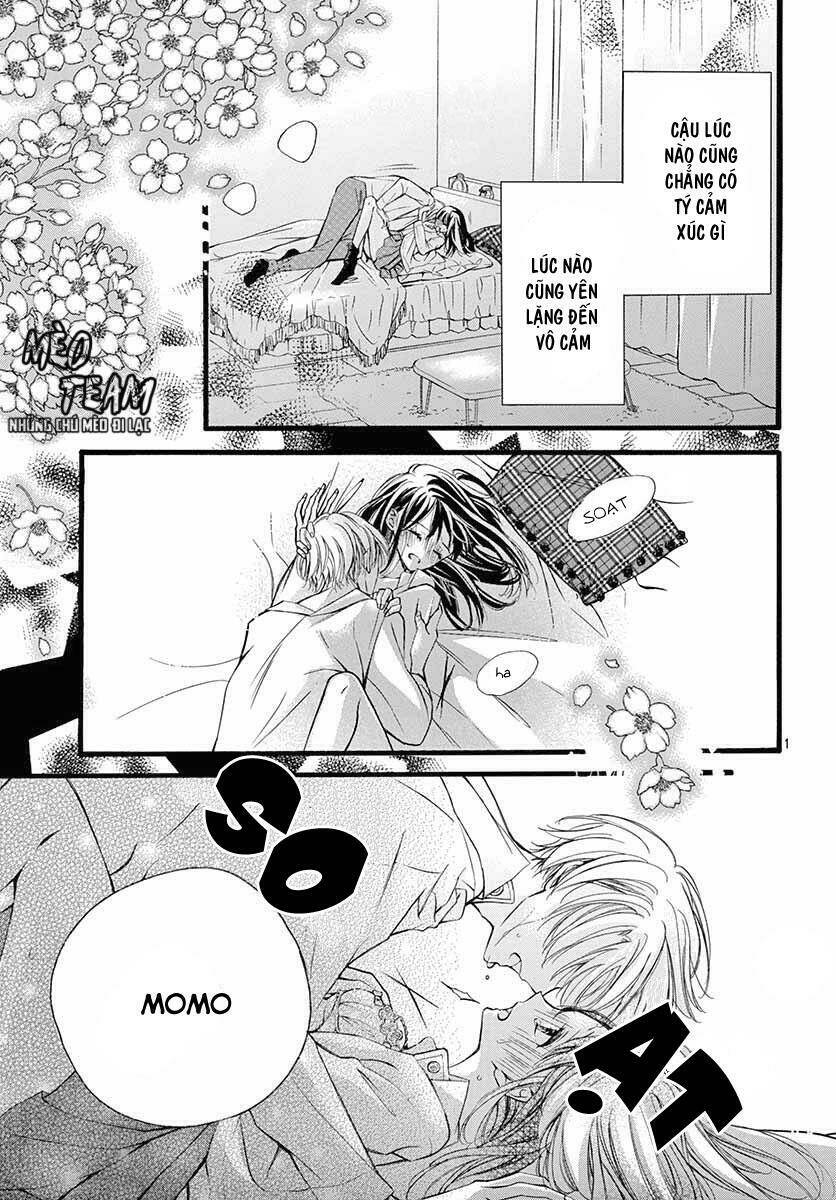 yokoshima na hanabira chapter 1 5