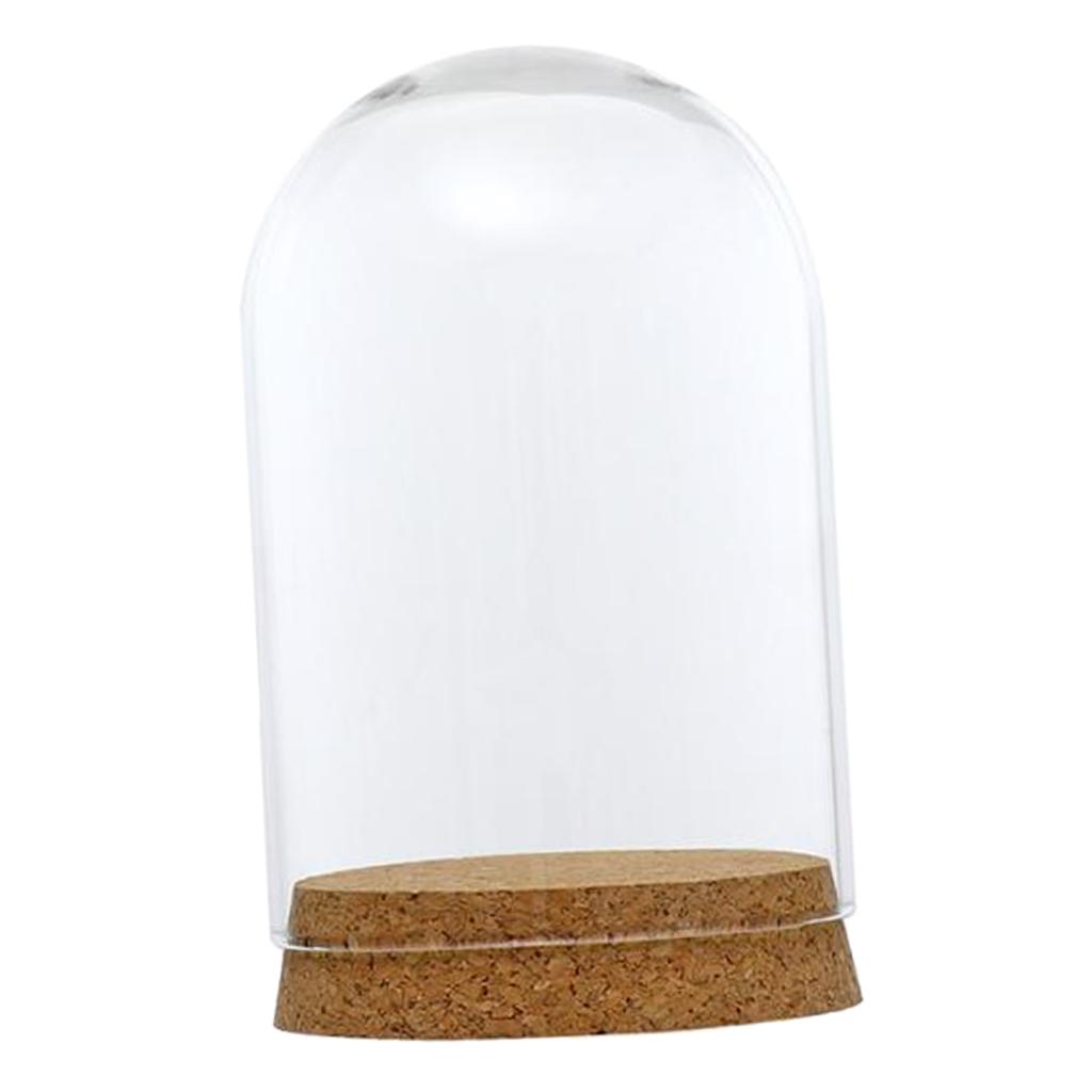 3xGlass Cover Landscape Terrarium Container Lid Vase Bottle 8x12cm