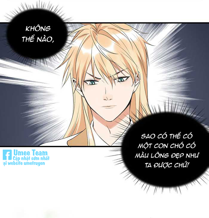 lục châu ca đầu chapter 6 25