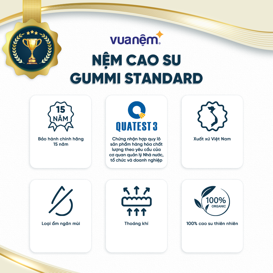 Nệm cao su 100% thiên nhiên cao cấp Gummi Standard 2.0 10cm tại Vua Nệm - Nâng đỡ vượt trội, thoáng kí tối ưu