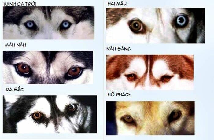 doubutsu no oishasan chapter 2 19