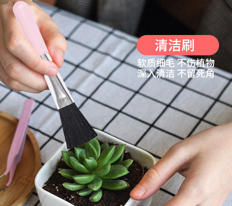 Combo 10 món dụng cụ trồng sen đá, xương rồng