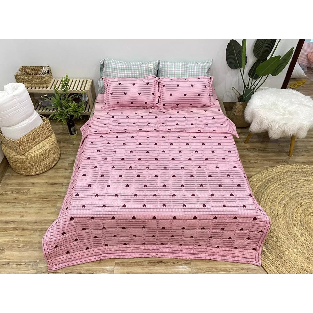 Bộ 5 Món Chăn Hè Ga Gối Mẫu Kẻ tim nhỏ