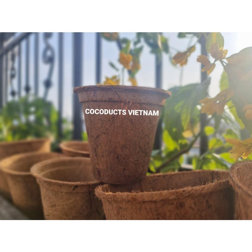 Chậu xơ dừa ép nhiệt Coir Pot