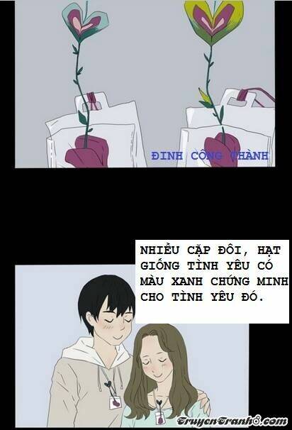 hạt giống tình yêu chapter 1 9