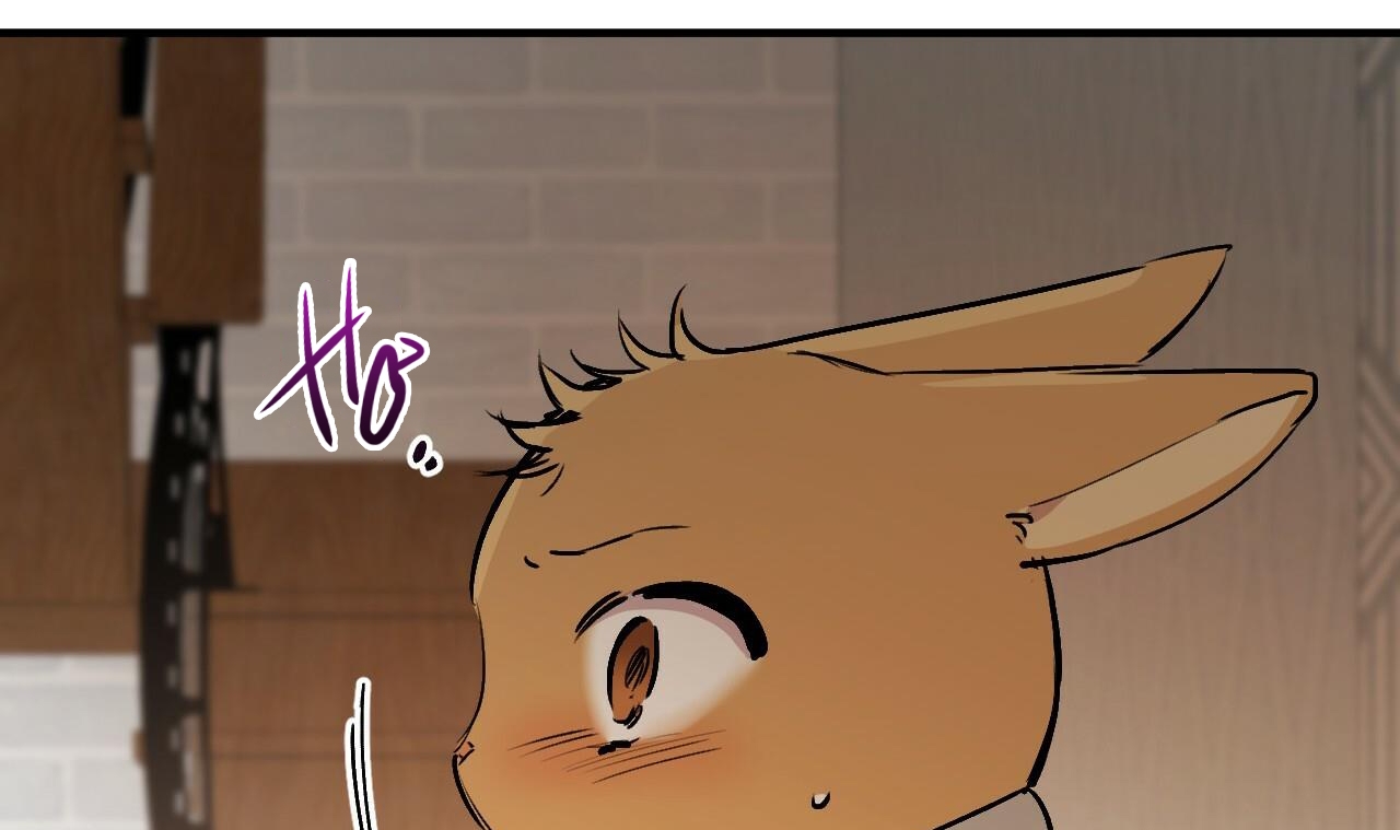 đàn thỏ của habibi chapter 45 65