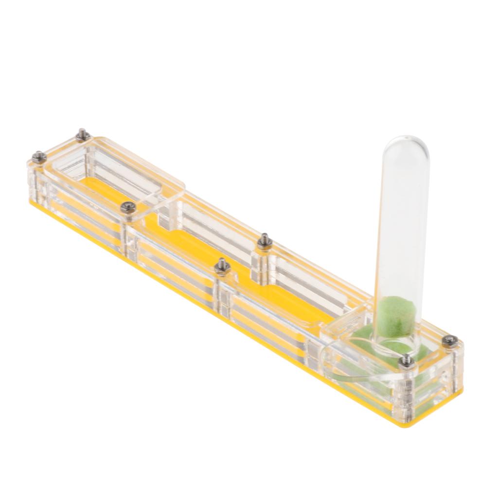 Ant Housing Box Experiment Toy Farm Insect Terrarium Pet Toys Fun Gift Clear