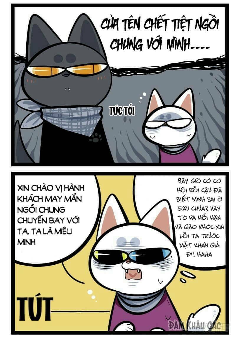 đời không như mình tưởng chapter 44 6