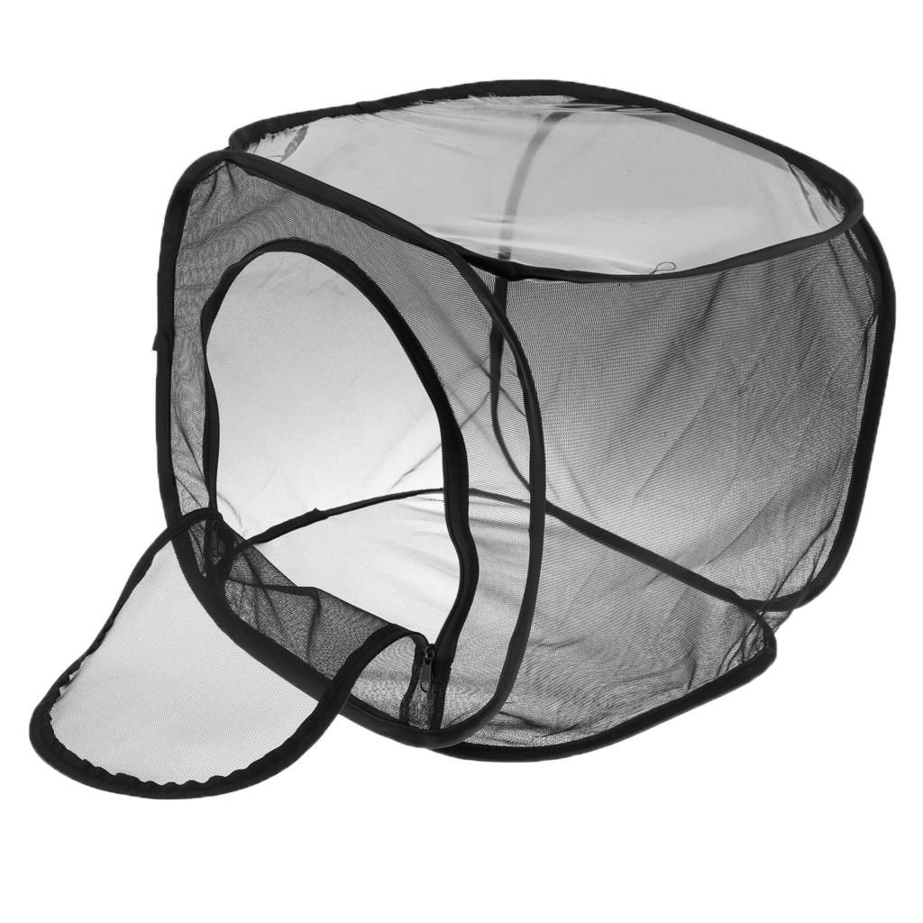 Foldable Insect And Butterfly Habitat Net Terrarium Breeding Cage Black
