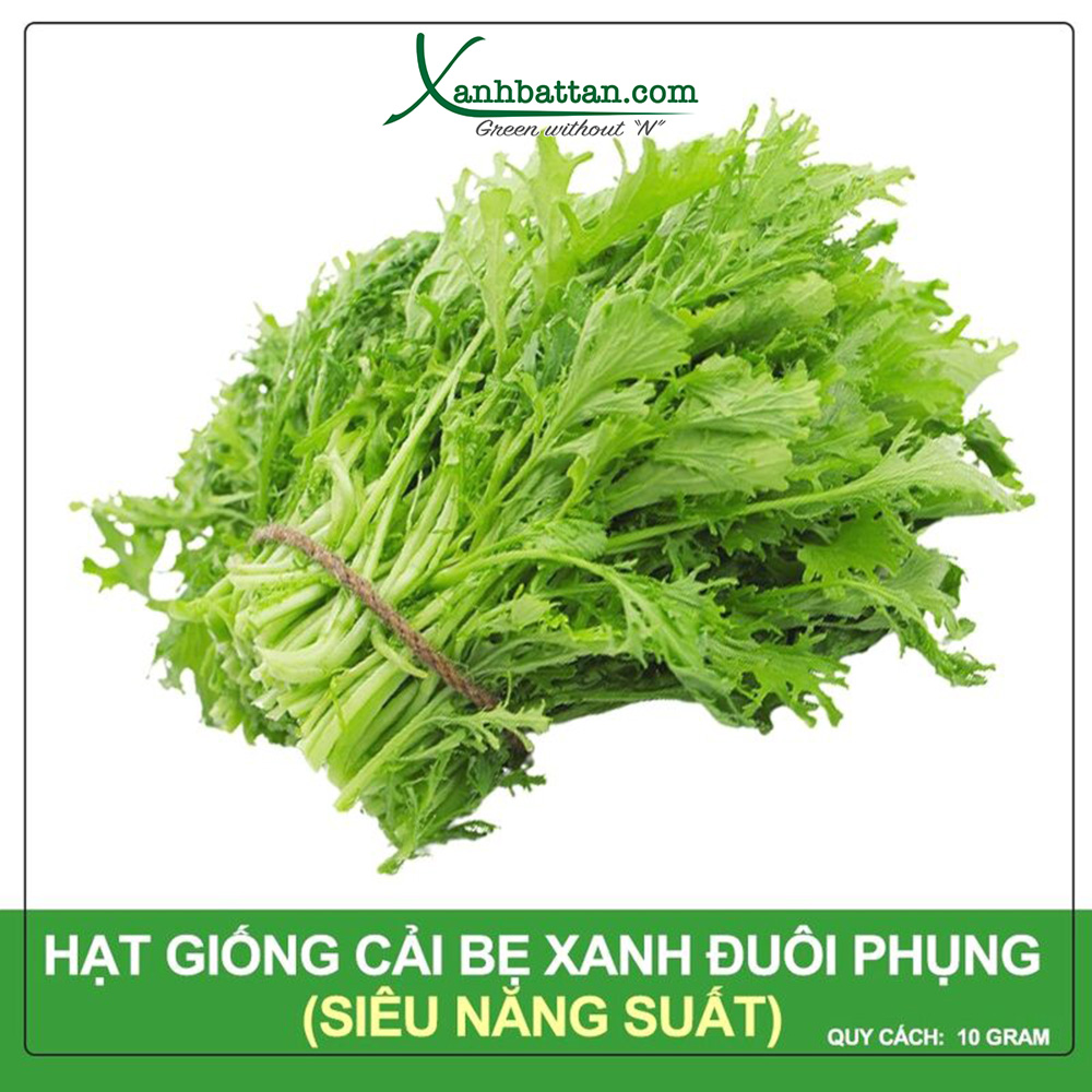 Hạt Giống Cải Bẹ Xanh Đuôi Phụng Phú Nông Gói 10 Gram