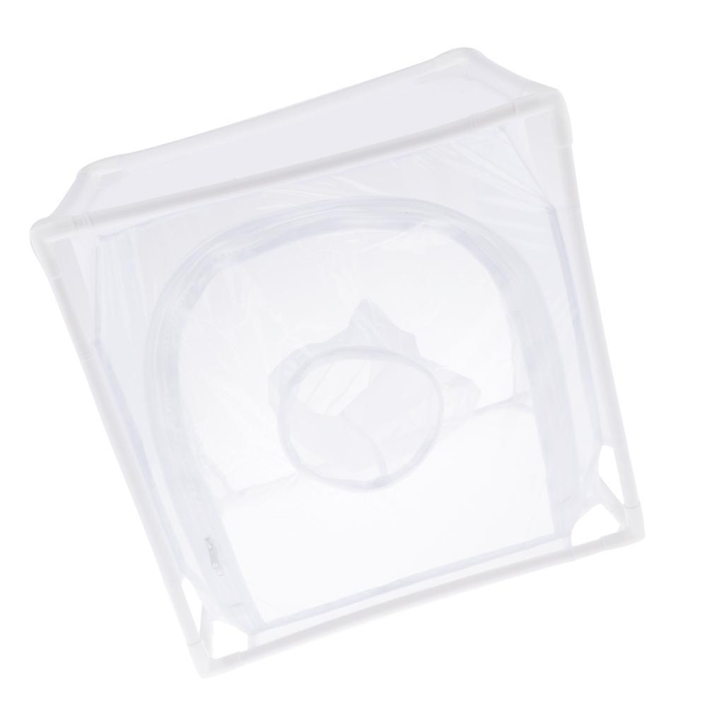 Butterfly Plant Habitat Terrarium Cage