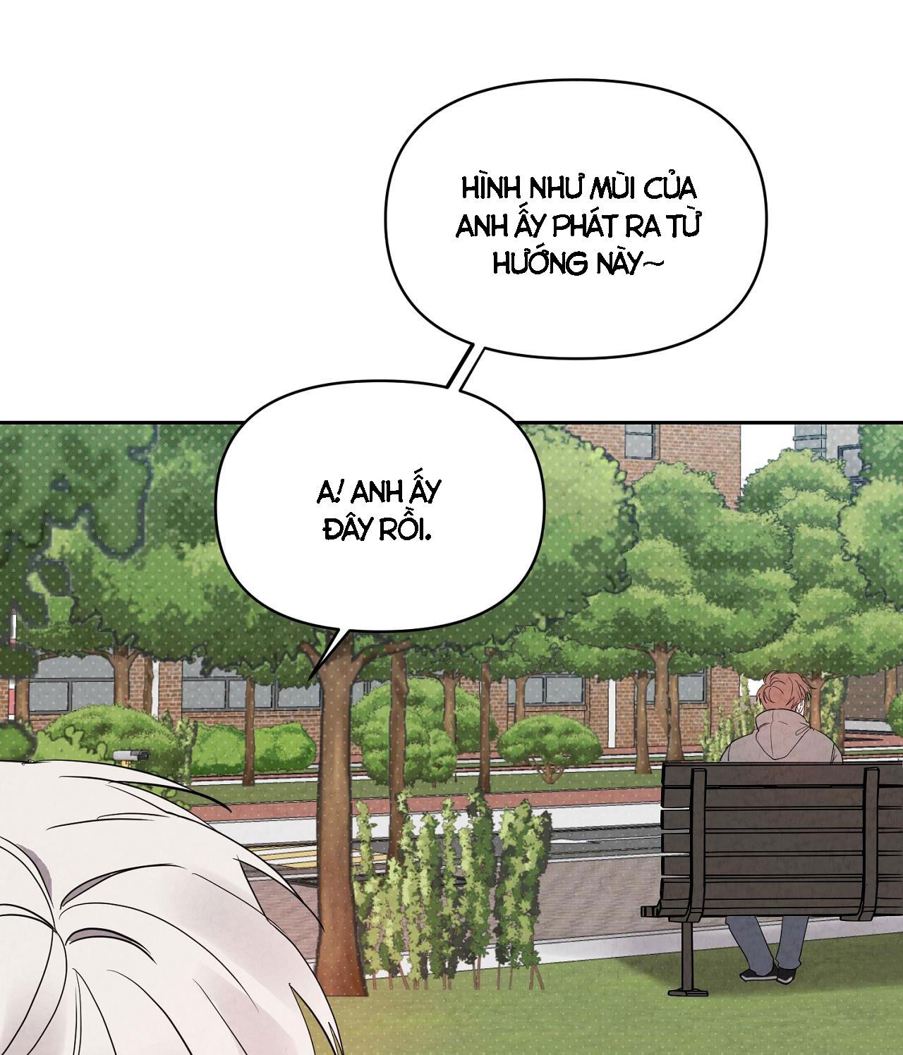 nuốt chửng bóng đêm chapter 29 45