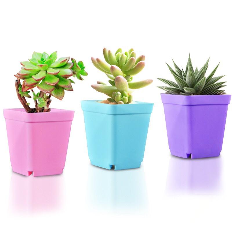 Chậu nhựa trồng cây để bàn, chậu sen đá, chậu xương rồng loại 1 nhiều màu, chậu nhựa mini siêu rẻ
