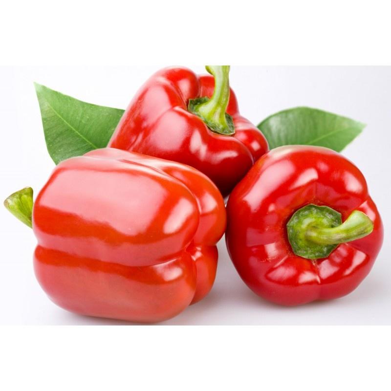 Hạt giống Ớt chuông đỏ , đóng gói 0.5gr
