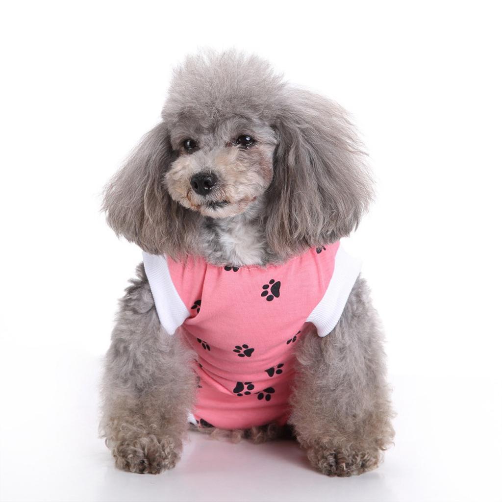 2 Pcs Pet Cat Dog Puppy Recovery Clothes Surgery Wound Protective Suit S/L
