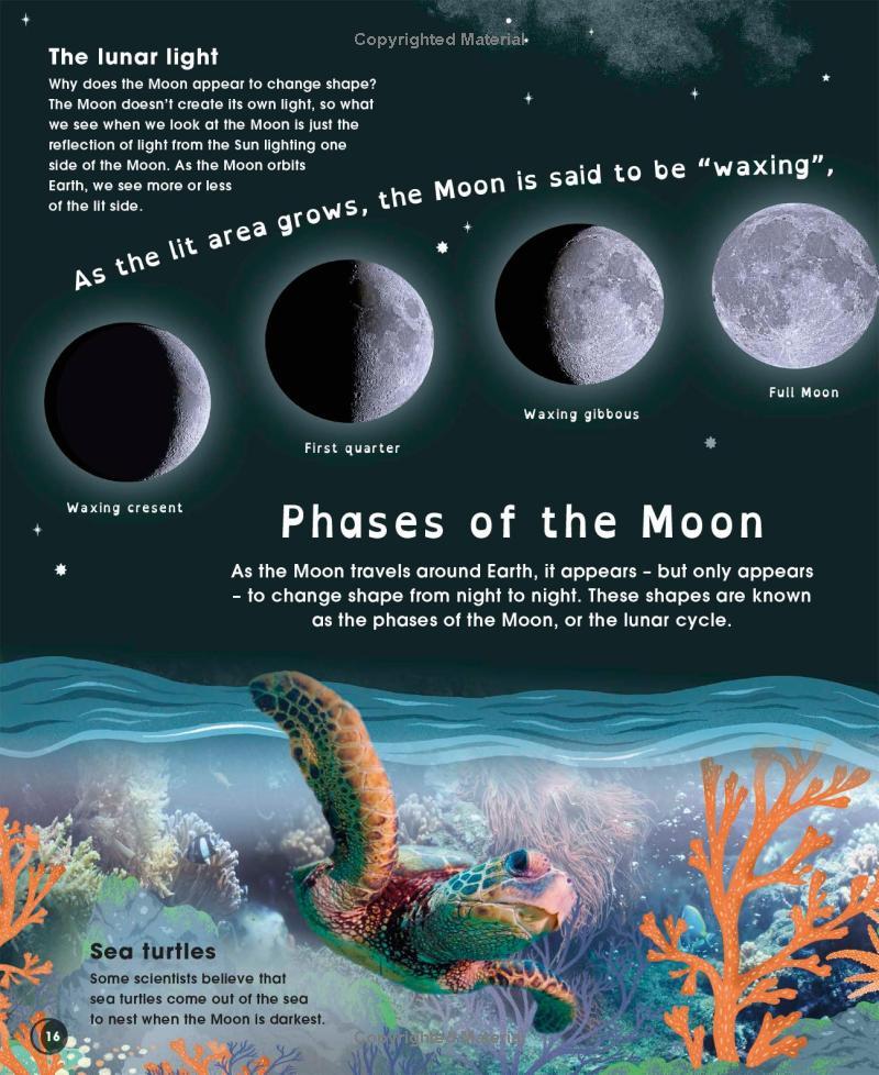 Sách ngoại văn: The Moon - Discover The Mysteries Of Earth's Closest Neighbour