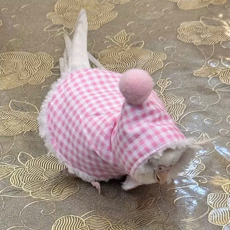 QUẦN ÁO CHO CHIM CẢNH CHIM VẸT CHIM PAROT CHIM SẺ DỄ THƯƠNG MÃ 2 XINH XẮN CHO CHIM THÚ CƯNG