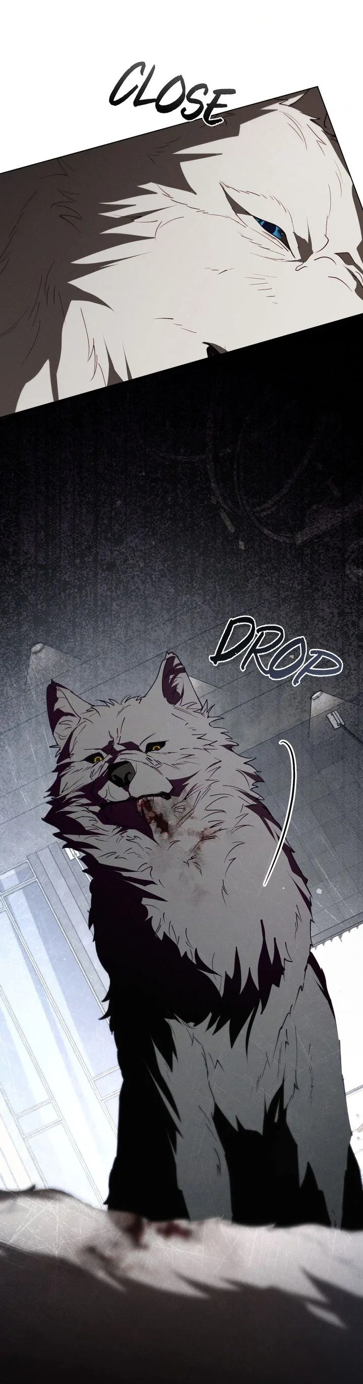 chàng người sói phát điên vì tôi chapter 56 26