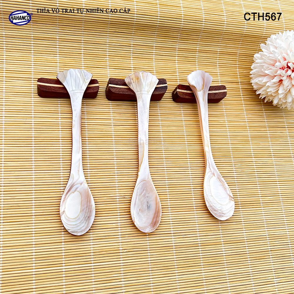 Muỗng Cà Phê Gia Vị Bằng Xà Cừ Tiêu Chuẩn Xuất Khẩu - HAHANCO - CTH567