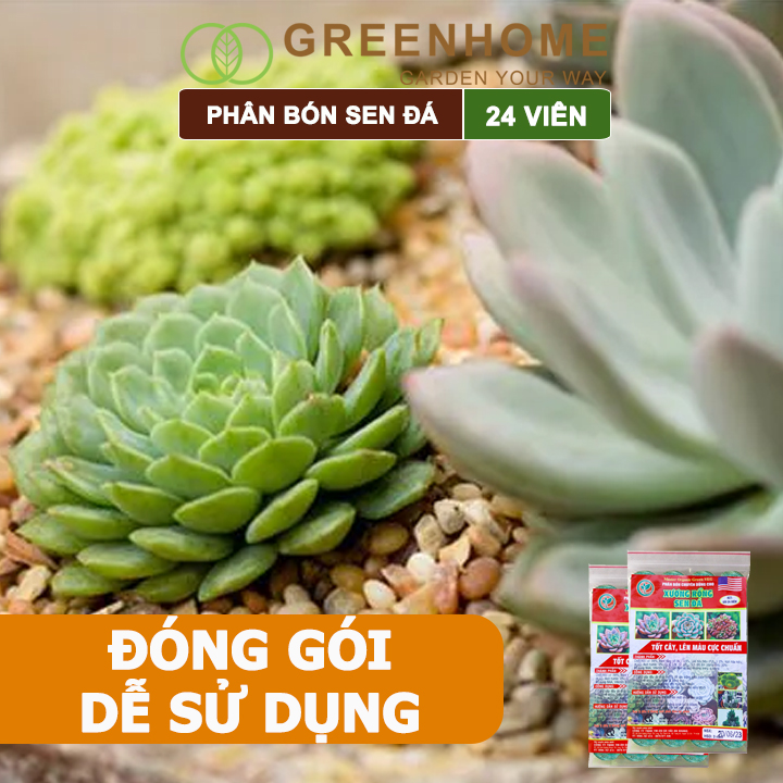 Phân bón sen đá Greenhome, dùng cho xương rồng, cây mọng nước, kích rễ, lên màu chuẩn