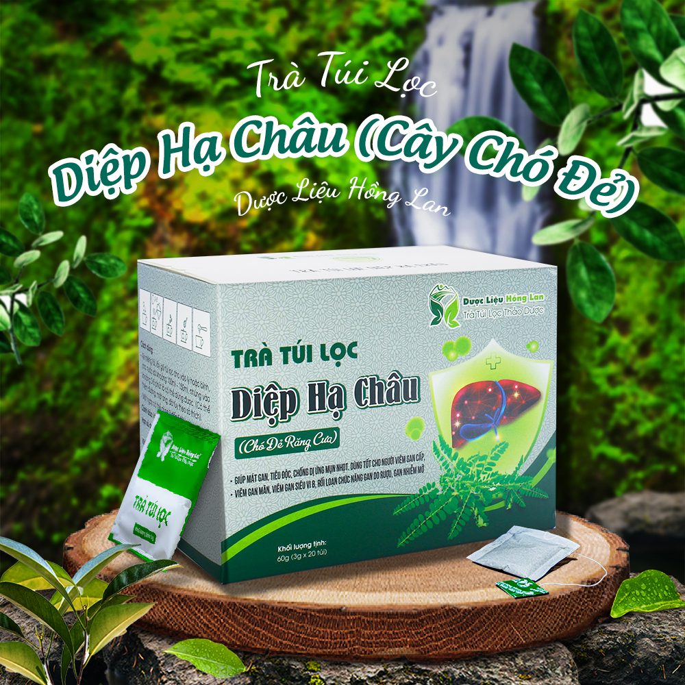 Trà Túi Lọc Diệp Hạ Châu (chó đẻ răng cưa) 60g (20gói x 3g) Dược Liệu Hồng Lan