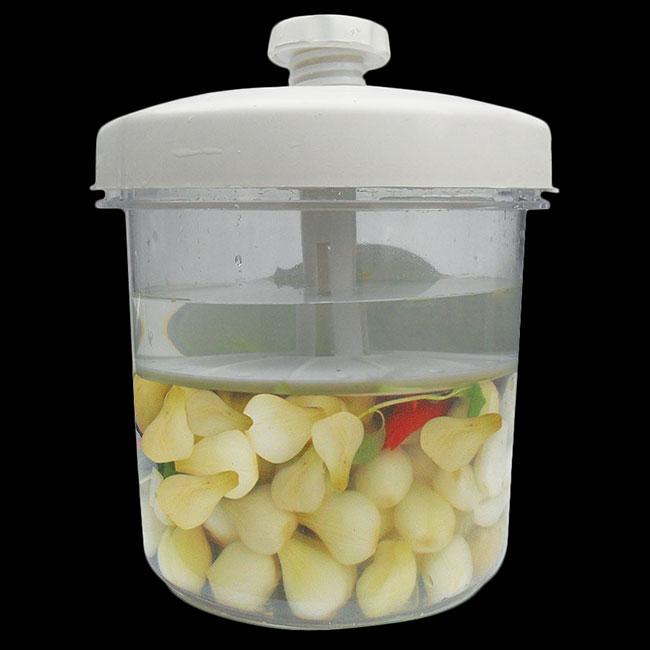 Hộp muối dưa cà thông minh - GDHN Loại Tốt
