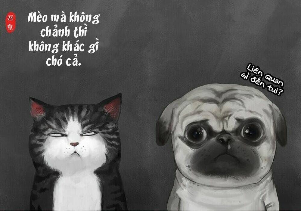 biết là ghét đấy, nhưng không thể buông bỏ chapter 2 3