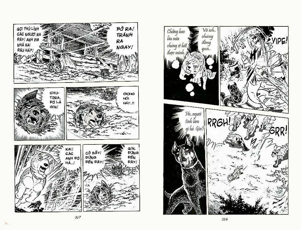 chú chó có nghĩa - ginga nagareboshi gin chapter 23 22