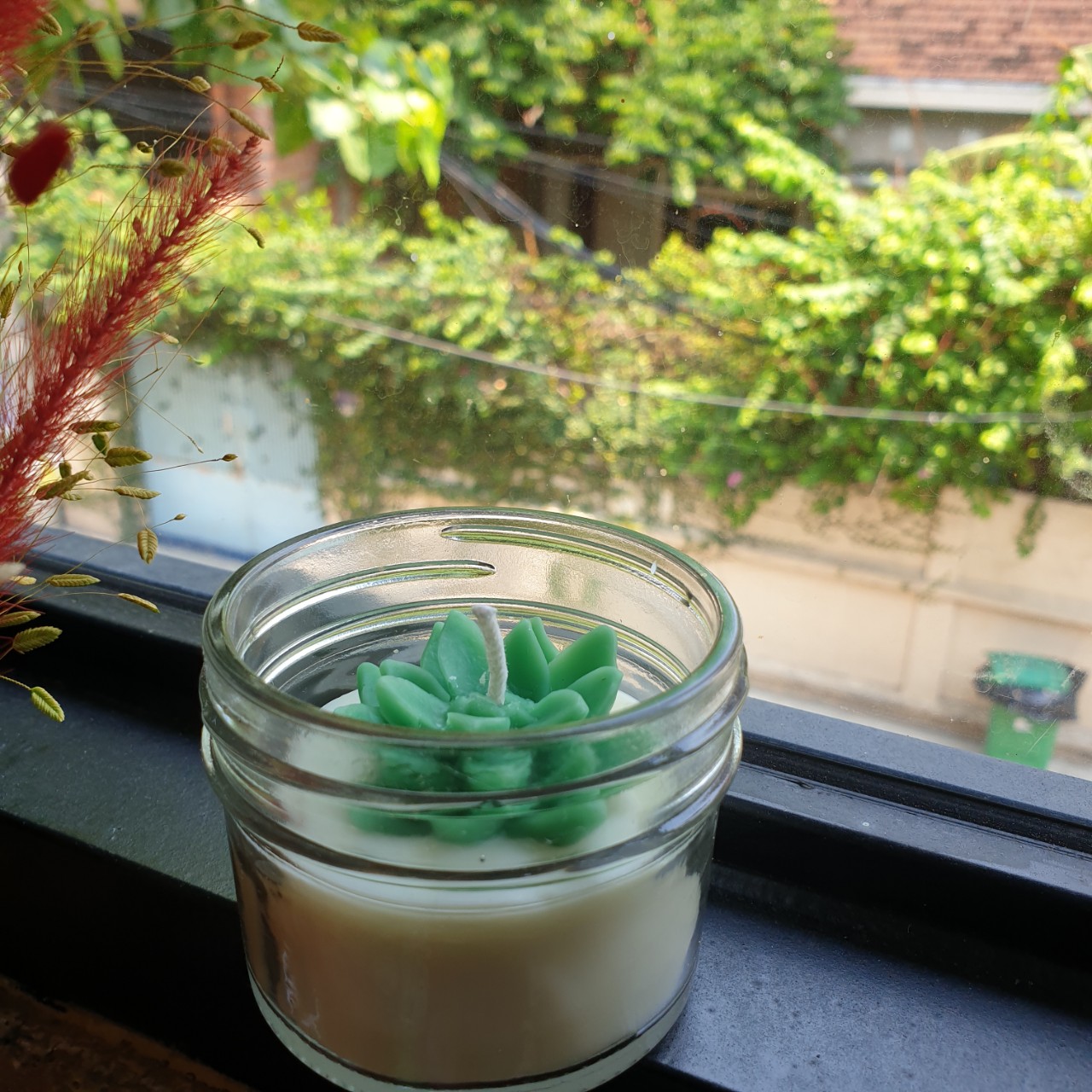 Nến thơm tinh dầu gỗ thông hình xương rồng xanh và sen đá 85g giúp thơm phòng, thư giãn giảm stress, khử mùi (Giao hình ngẫu nhiên)