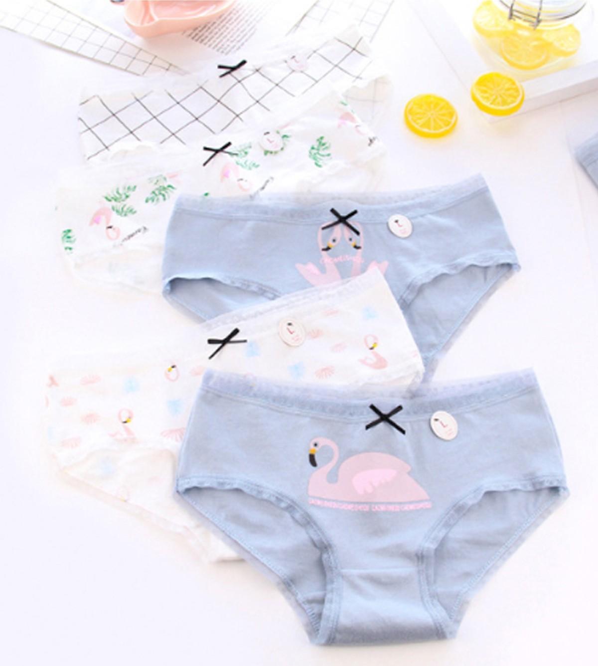 Combo 5 quần lót nữ mềm mại, chất mát thoáng khí hình thiên nga trắng tím