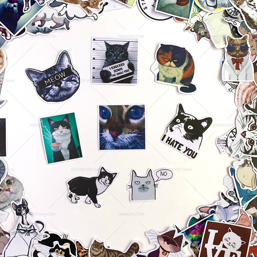 Bộ sticker chủ đề Mèo - Cat - Boss 2019, decal hình dán thú cưng chống nước, trang trí nón bảo hiểm, điện thoại, lap top ...