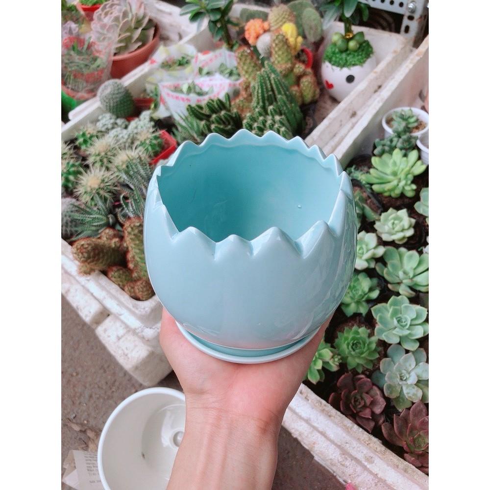 Chậu kiểu có dĩa lót