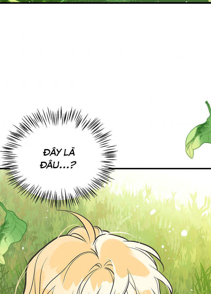 chị tôi đã nhặt về một nam chính quyến rũ chapter 35 71