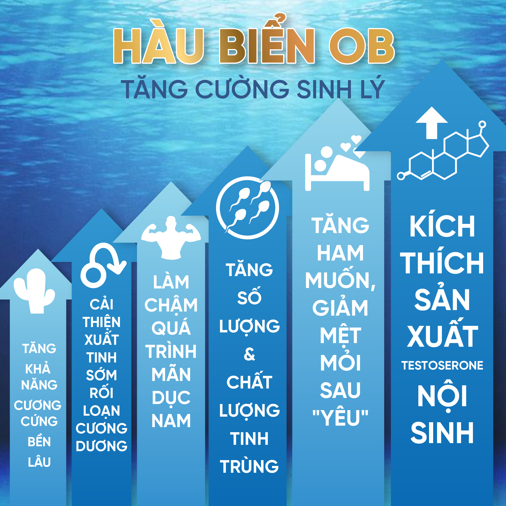 Thực phẩm bảo vệ sức khỏe Hàu Biển OB - Tăng sinh chất lượng tinh trùng, Tăng cường sinh lý nam, hỗ trợ trị xuất tinh sớm
