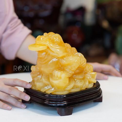 Thiềm thừ ngọc hoàng long 3kg - 18cm