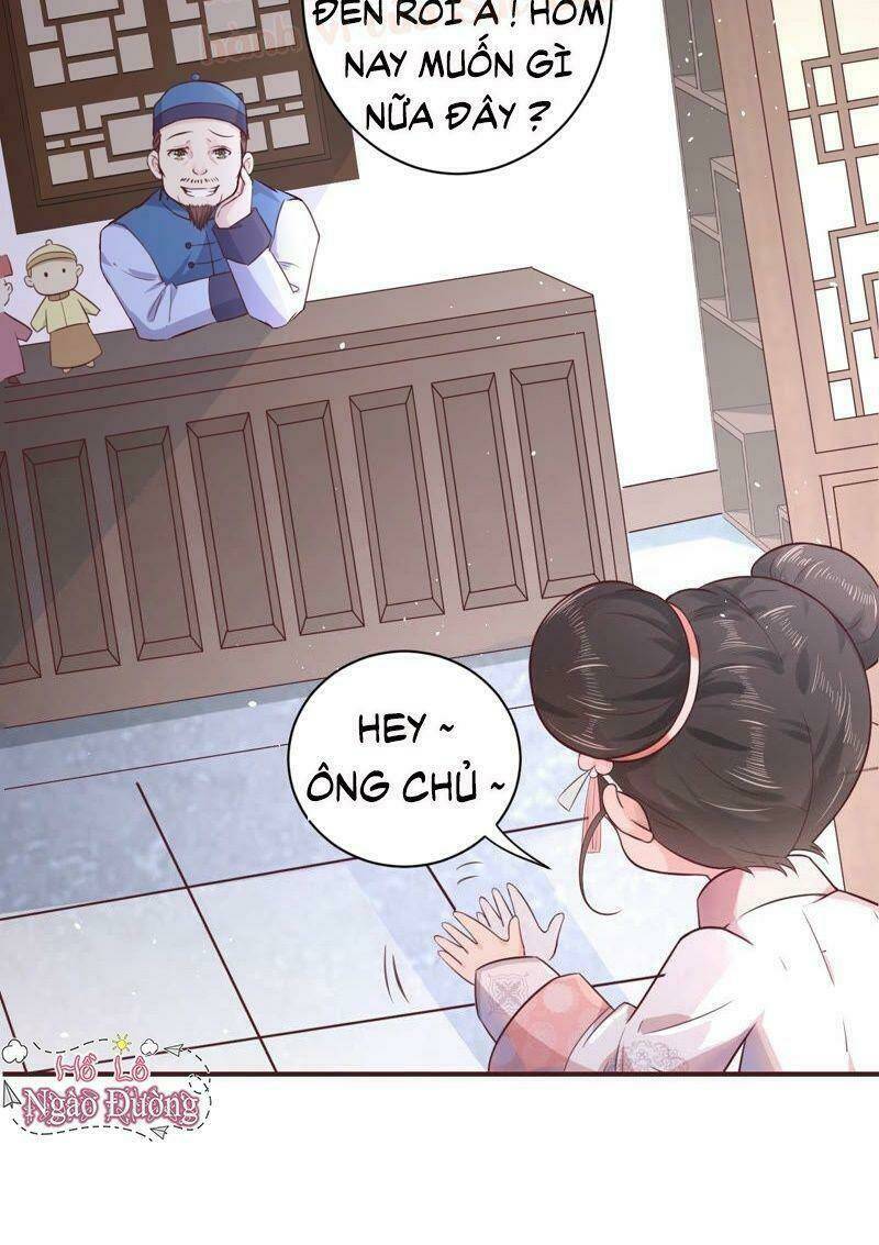 quận chúa vững vàng, thiết lập nhân vật không thể vỡ chapter 1 51