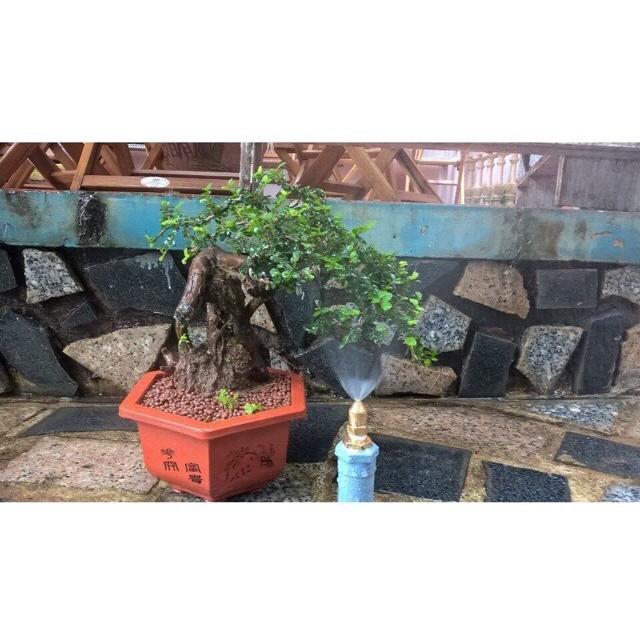 Béc phun sương đồng chân ren 21