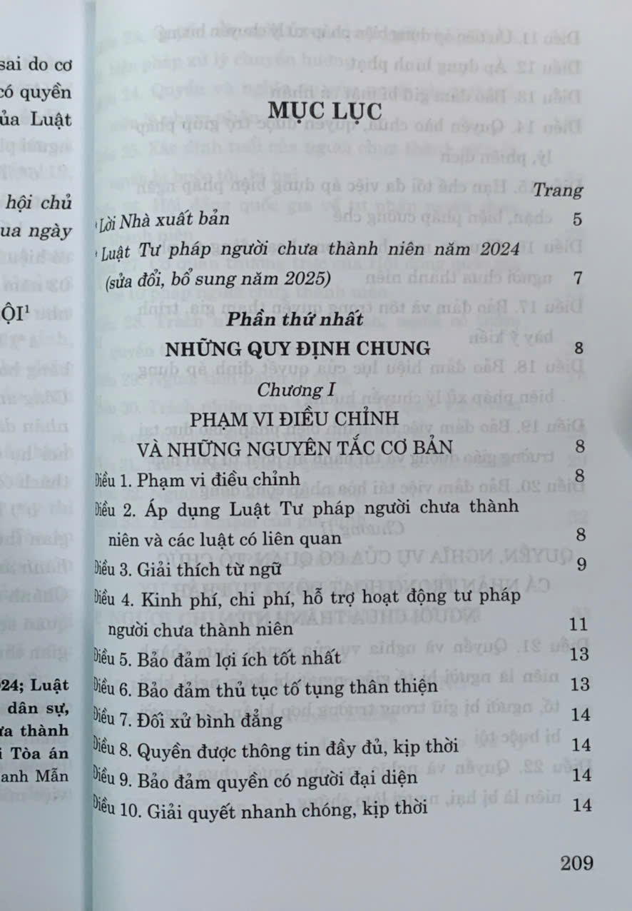 Luật Tư pháp người chưa thành niên năm 2024 (sửa đổi, bổ sung năm 2025)