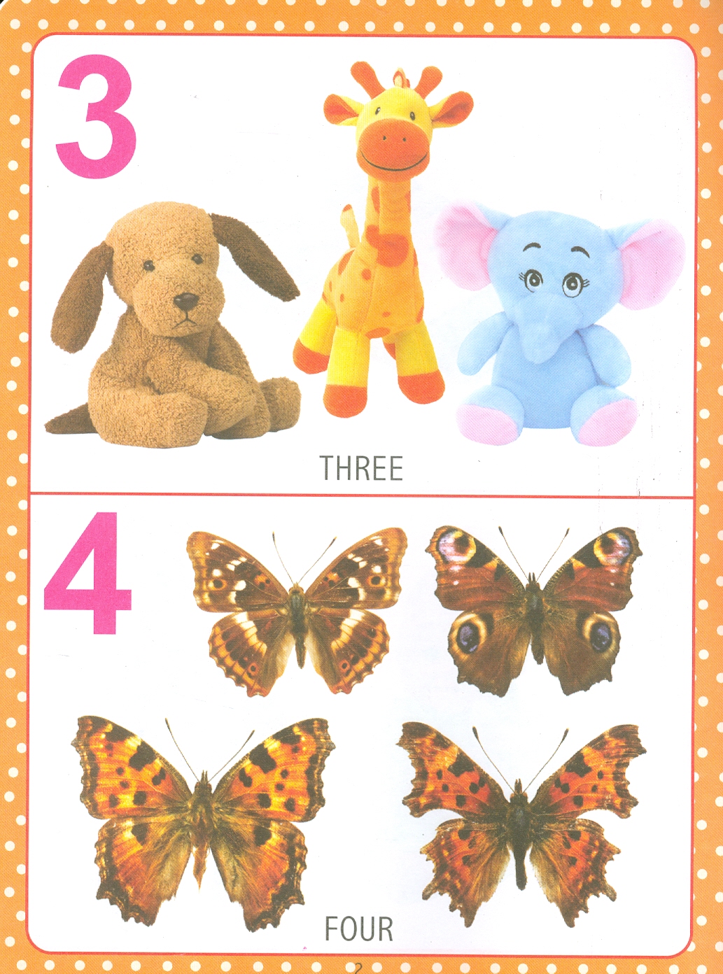 My First Early Learning - Numbers Book (Bài học đầu tiên của tôi - Sách về các con số)