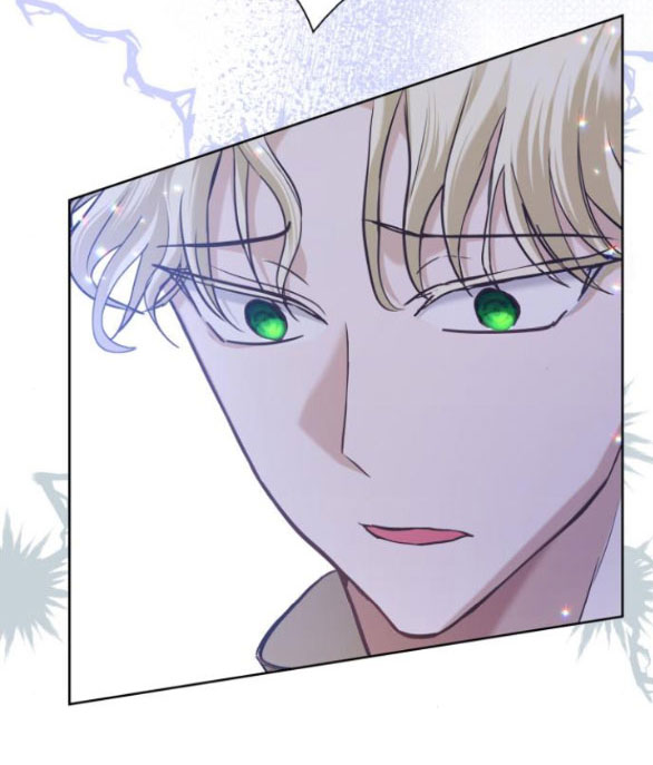 tôi trở thành vợ cũ của nam chính chapter 9.1 17