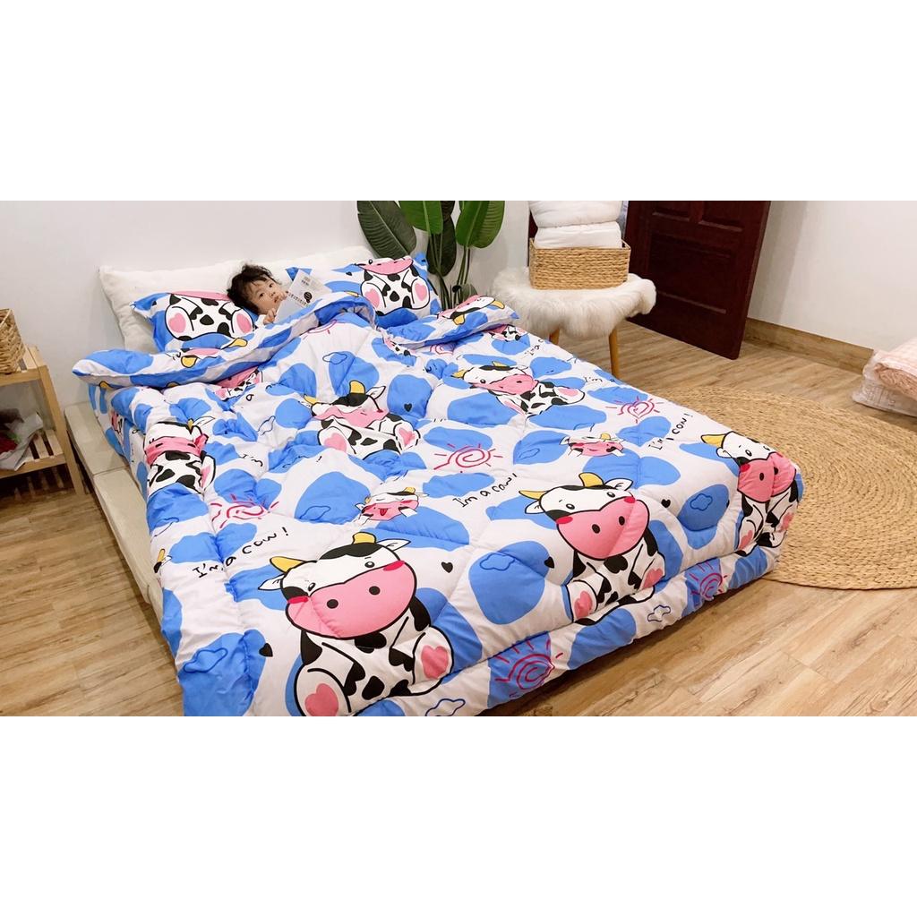 Set phao 5 món