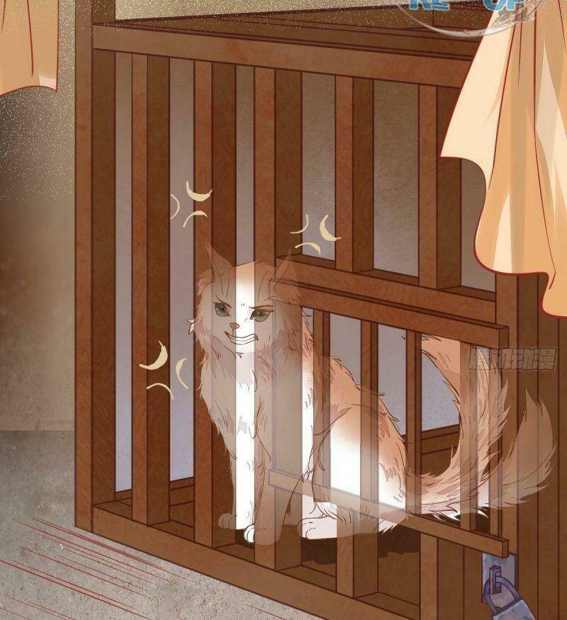 sát thủ vương phi không dễ chọc chapter 34 48