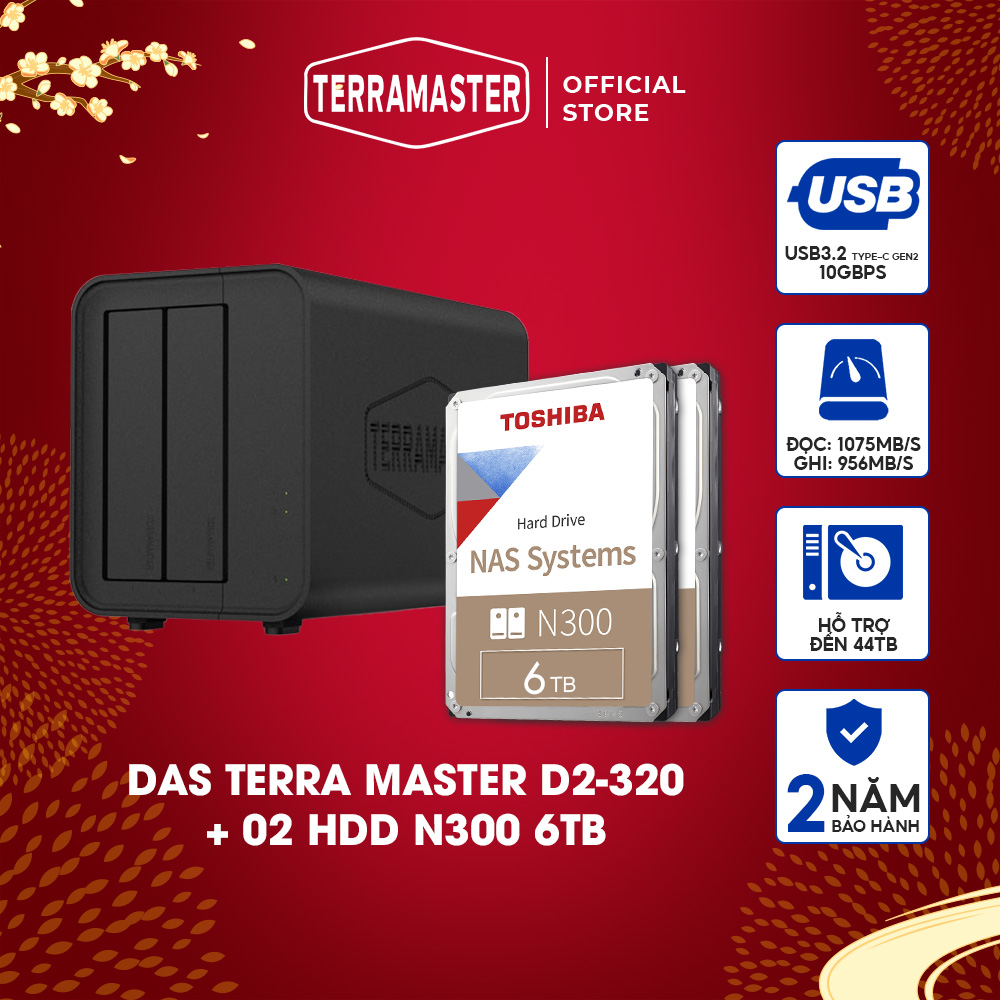Bộ Thiết bị lưu trữ DAS TerraMaster D2-320+N300 Hàng chính hãng
