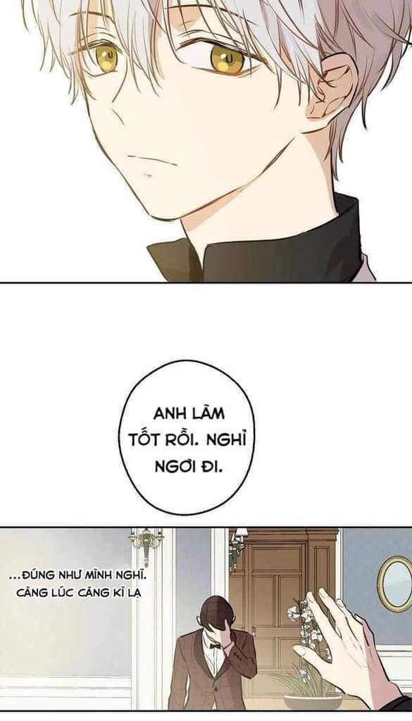 một ngày nọ tôi bỗng thành nàng công chúa chapter 62 42