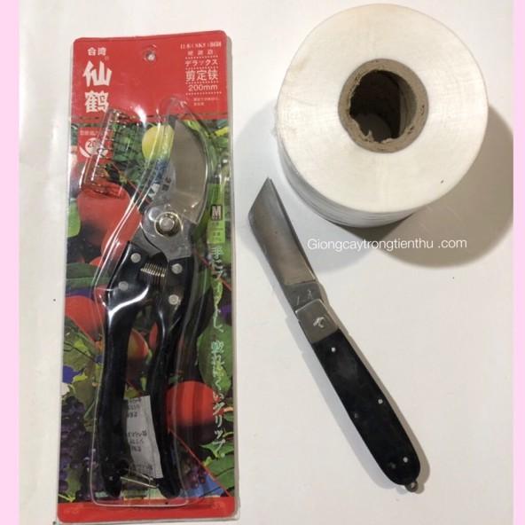 COMBO-3 DỤNG CỤ CHUYÊN DÙNG GHÉP CÂY GIỐNG ĂN QUẢ