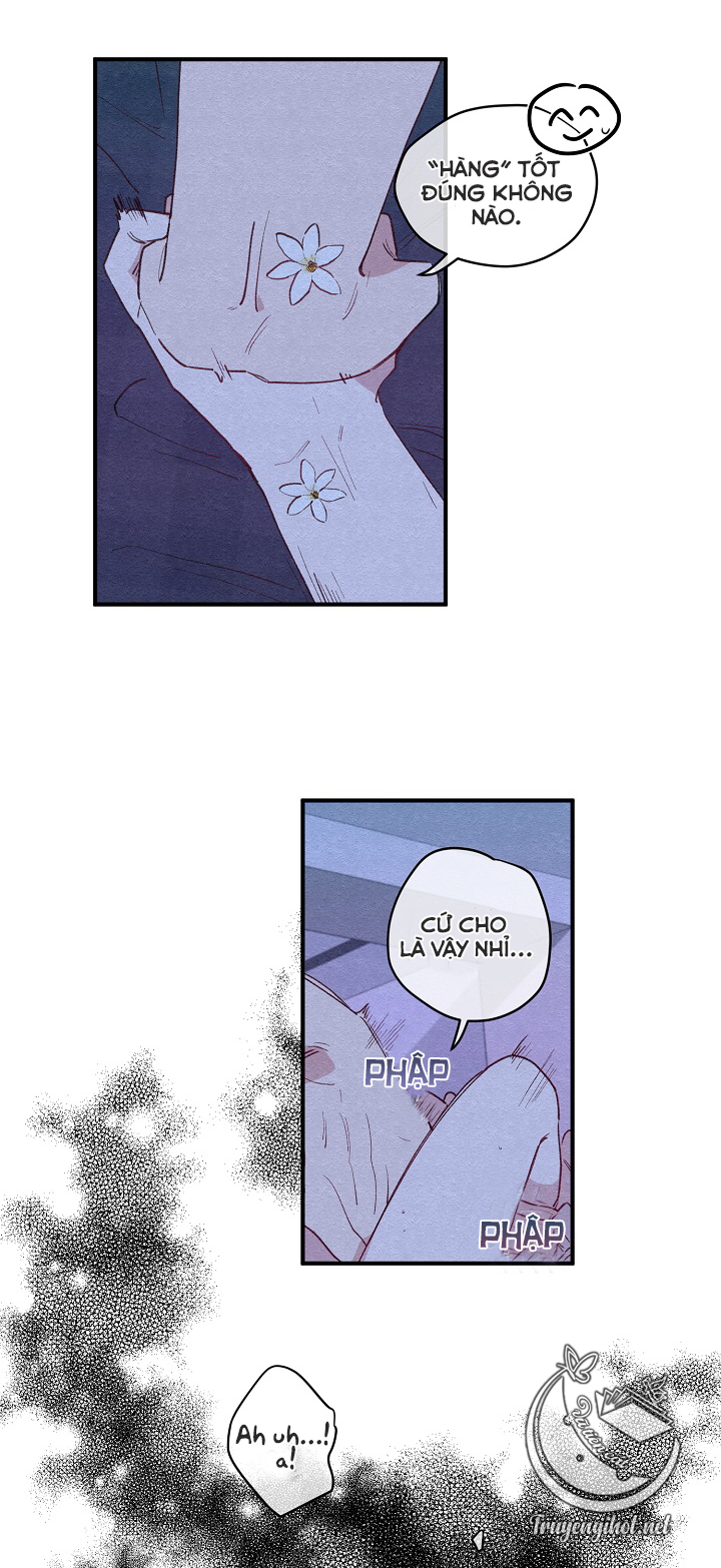 [bl19+] hoa không nở chapter 1 18