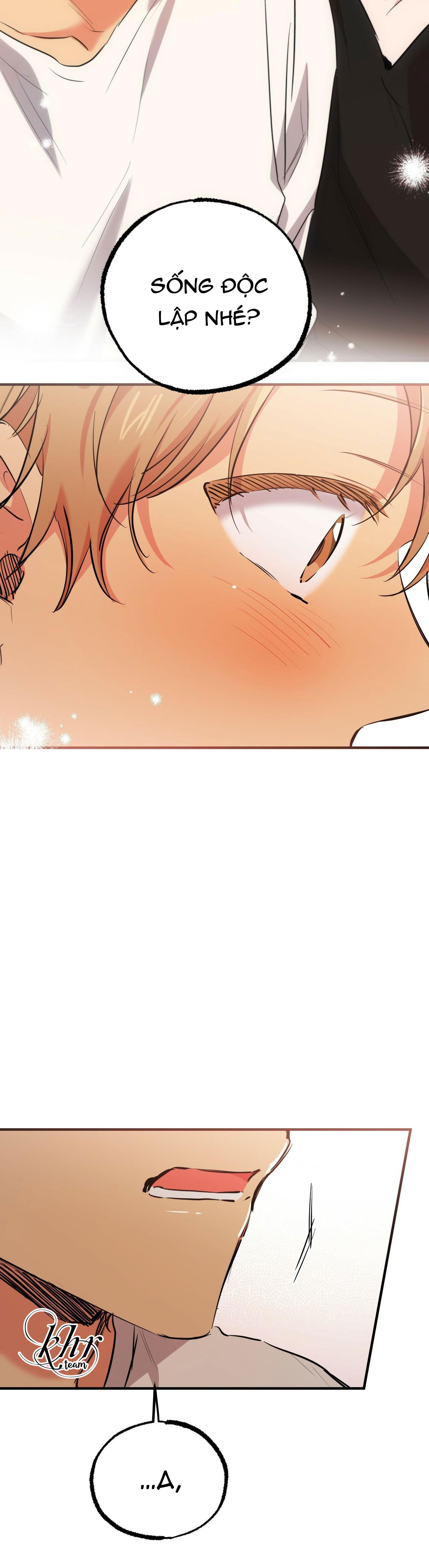 những chú thỏ của hapypy chapter 35 38