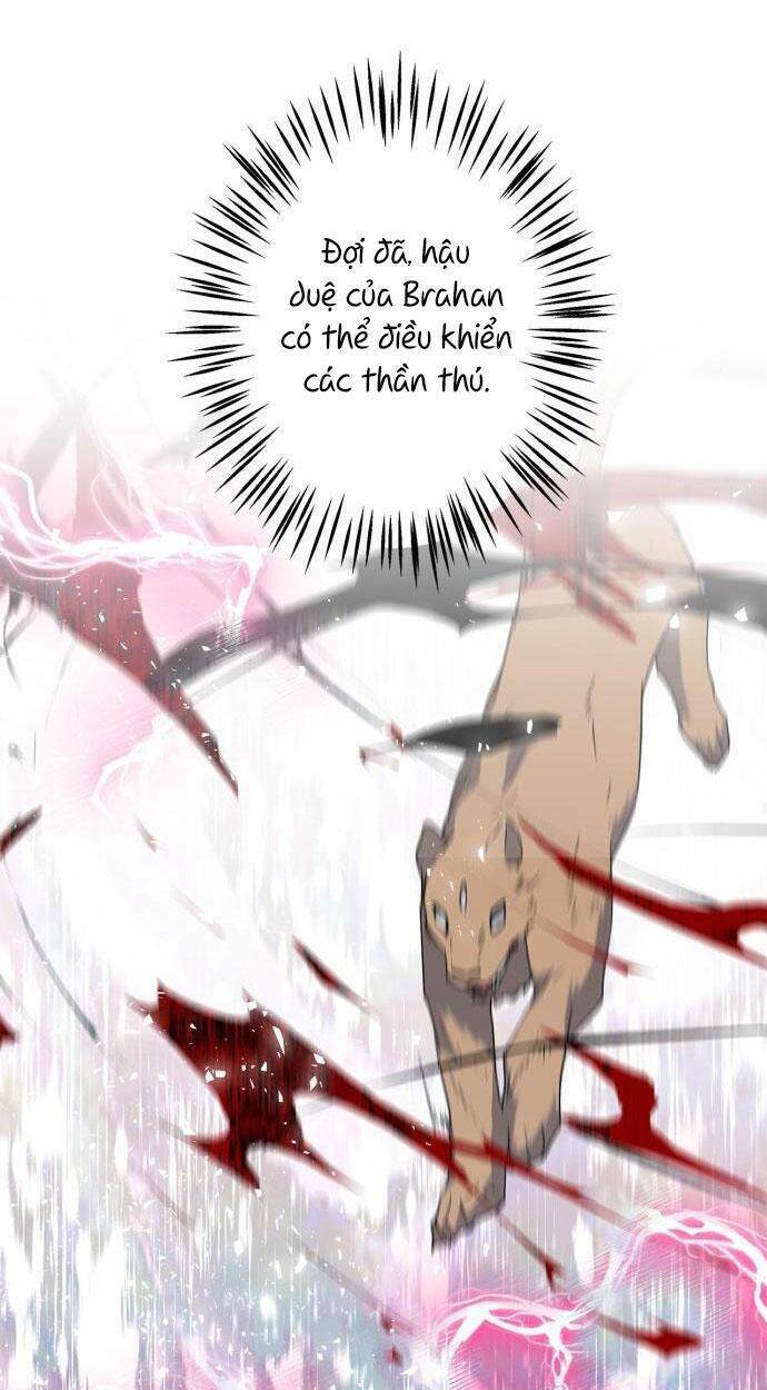 tôi đang nuôi dưỡng một con quái thú chapter 73 78