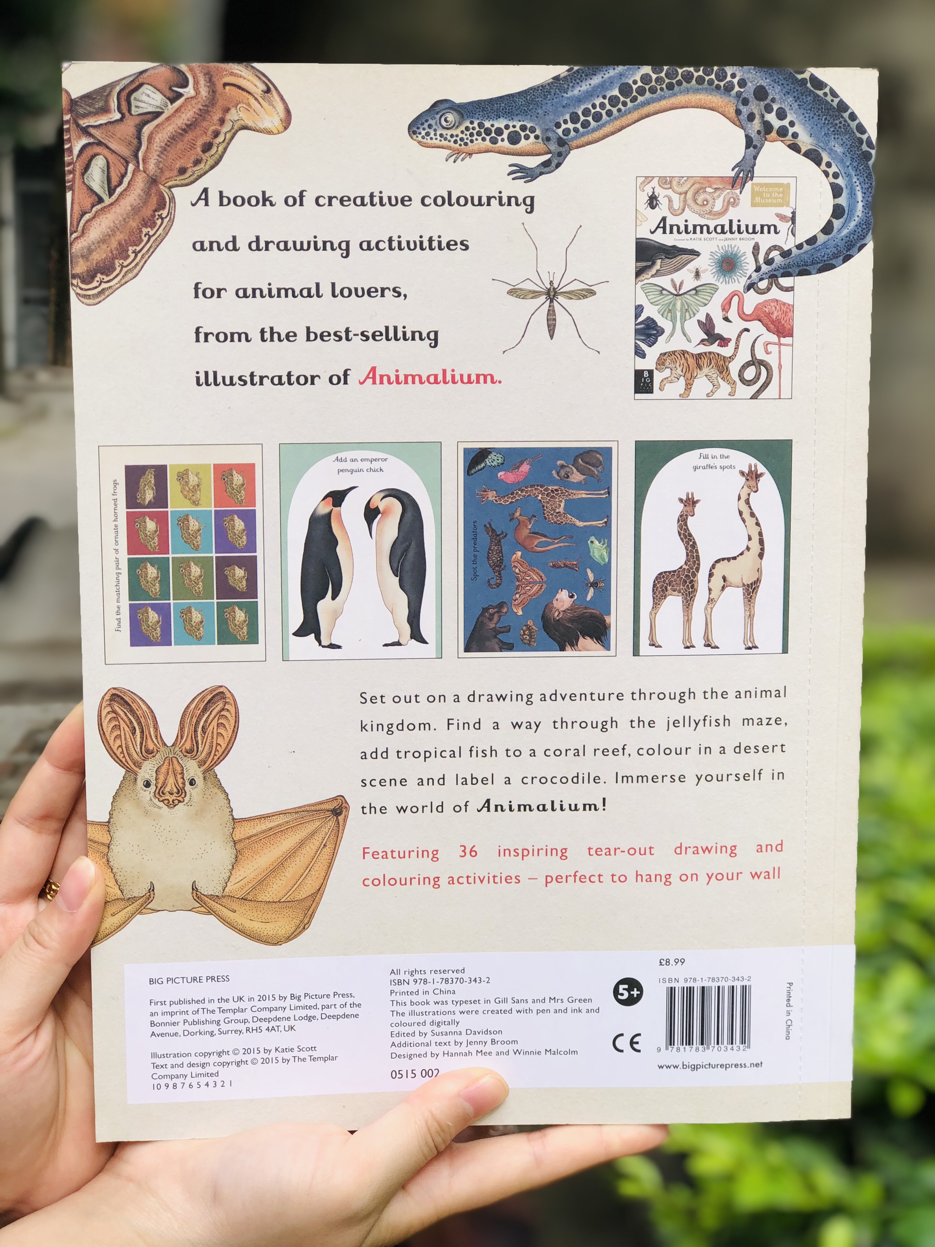 Sách Bản Quyền - Animalium Poster Book / Những Hình Ảnh Động Vật Tuyệt Đẹp Từ Animalium Bán Chạy Nhất Của Big Picture Press - Á Châu Books, Bìa Mềm, In Màu